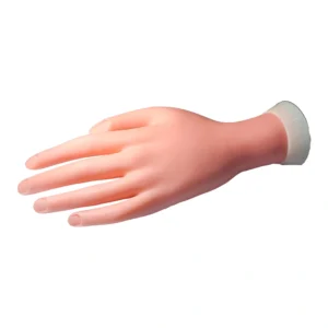 Practice Hand P4121